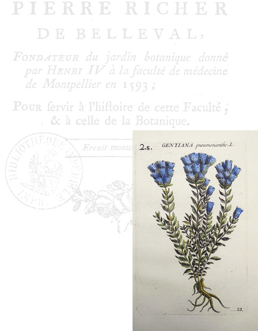 histoire richer de belleval