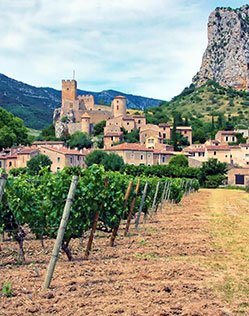 Decouvertes Vignoble Occitanie