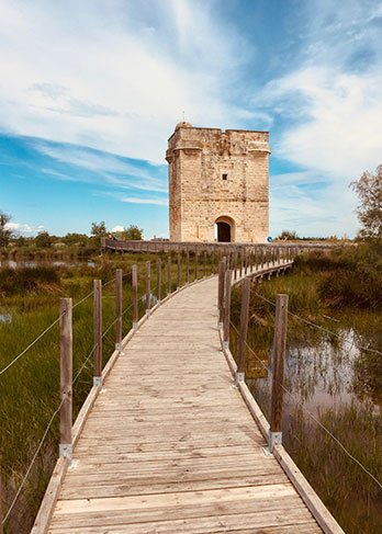 Tour Carbonniere Aigues Mortes