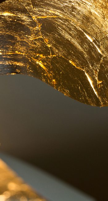 coeur de ville en lumiere hebergement hotel luxe montpellier