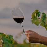 fete du vin bio 2026 hotel richer de belleval