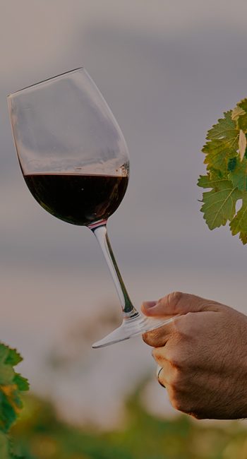 fete du vin bio 2026 hotel richer de belleval