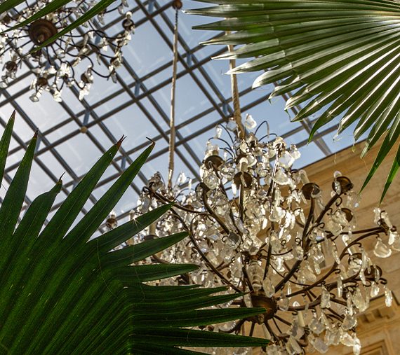 jardin ete ephemere richer de belleval