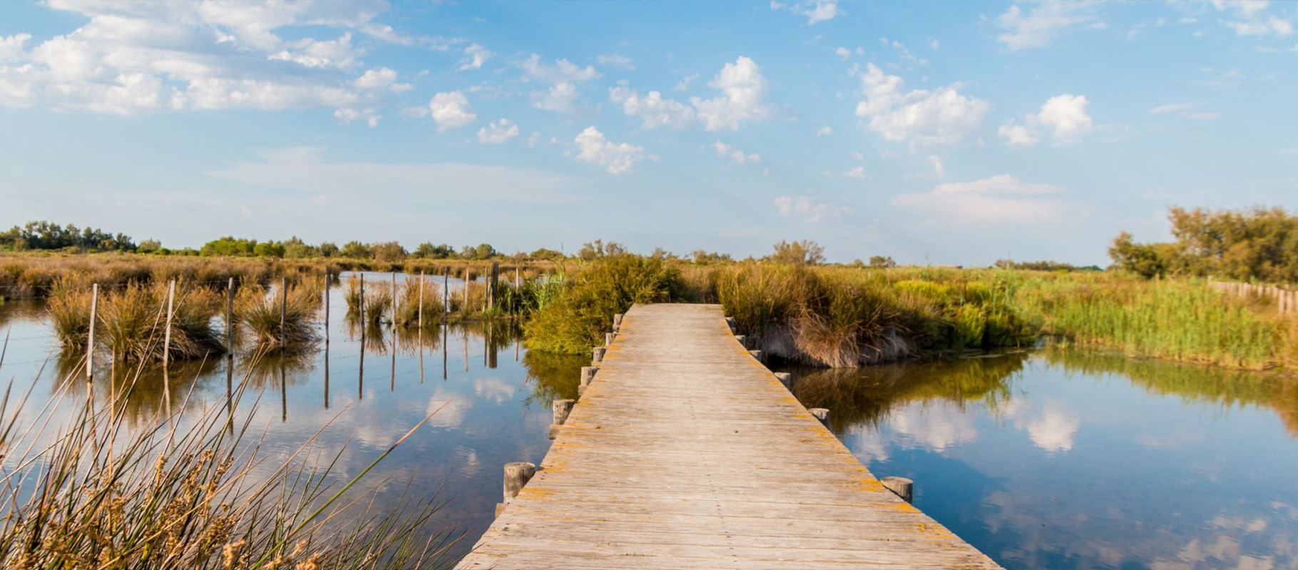 sejour luxe camargue