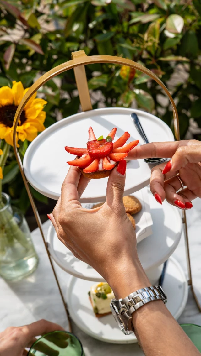 Des petites douceurs à savourer en terrasse ✨

Quand le soleil caresse les pierres anciennes et que l’air devient plus léger, notre terrasse devient le lieu idéal pour une pause sucrée.

Savourez à la formule Instant Sucré : deux bouchées délicates, accompagnées d’une boisson chaude, à déguster dans une atmosphère solaire et apaisante. Un instant suspendu entre raffinement et gourmandise, pour se faire du bien à tout moment de la journée.

L’art de savourer l’instant, tout simplement. ✨

__________

A sweet moment to enjoy on the terrace
As the sun warms the historic stone walls and the air turns lighter, our terrace becomes the perfect setting for a gourmet break.

Indulge in the Instant Sucré formula: two delicate treats served with a hot drink, enjoyed in a peaceful, elegant atmosphere. A refined and indulgent pause to savour at any time of the day.

✨ The art of enjoying the moment, quite simply.

#instantgourmand #momentdoux #pausecafé #instantsucré #terrassemontpellier #artdevivre #hotelmontpellier #relaisetchateaux #petitepause #douceparenthèse #expériencegourmande #pâtisseriefrançaise #boissonchaude #détenteetplaisir #lifestylefrançais
